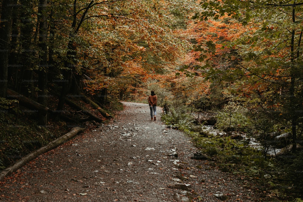 a person walking down a path in the woods