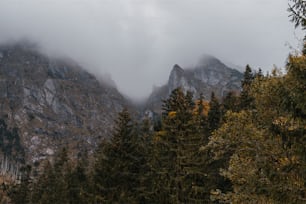 the mountains are covered in clouds and trees