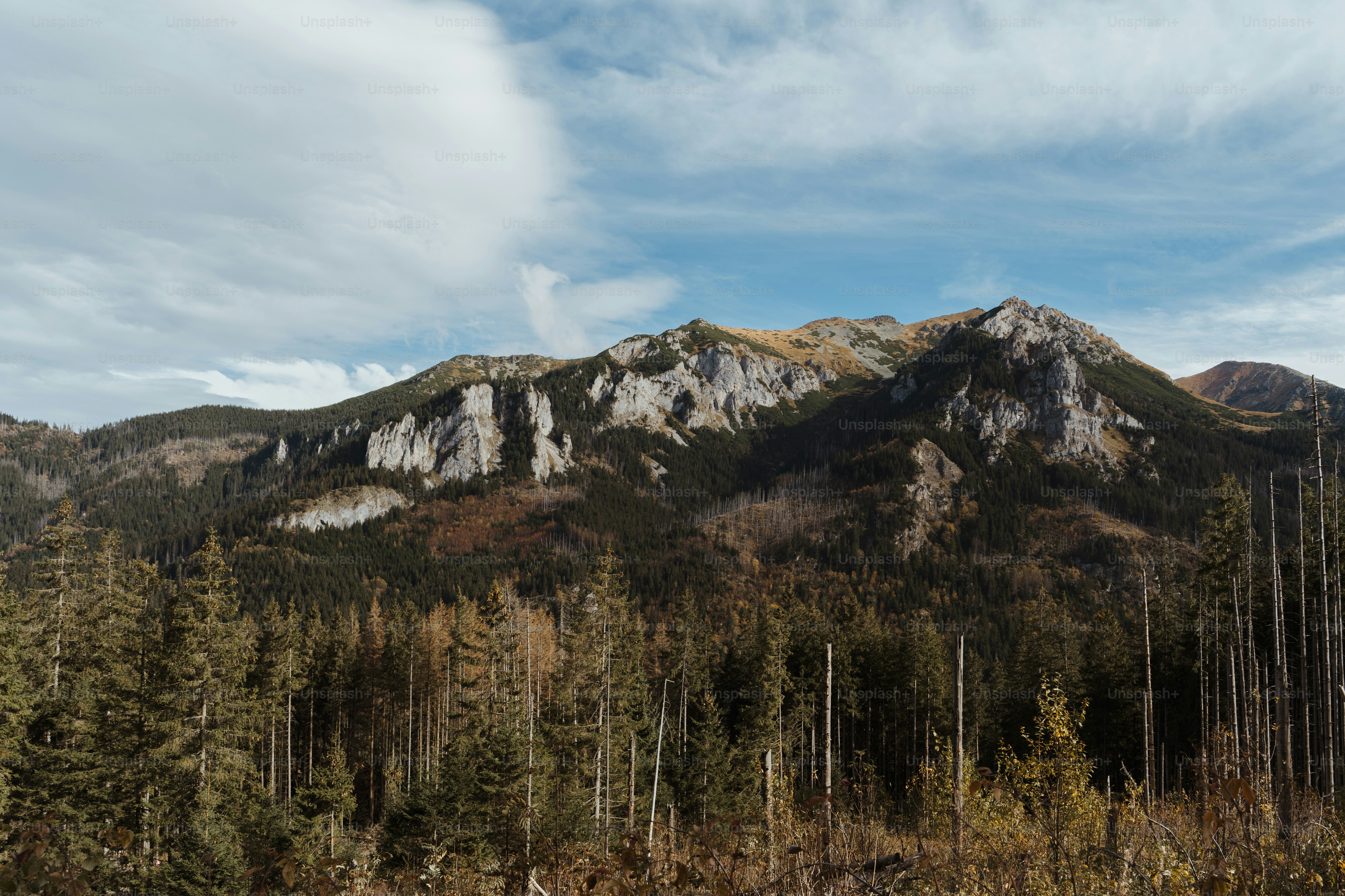 Miling, Western Australia