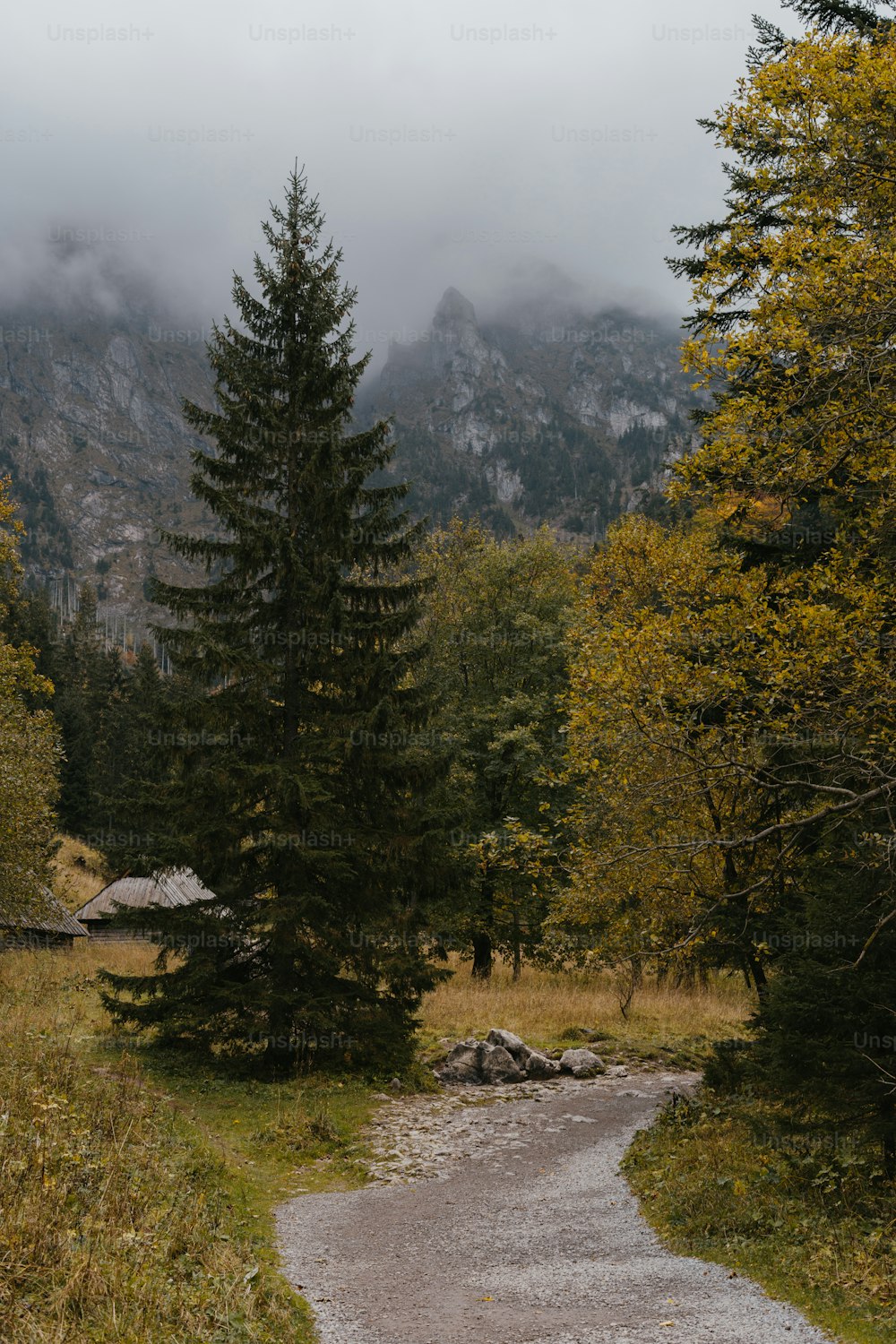 Misty Mountains Pictures  Download Free Images on Unsplash