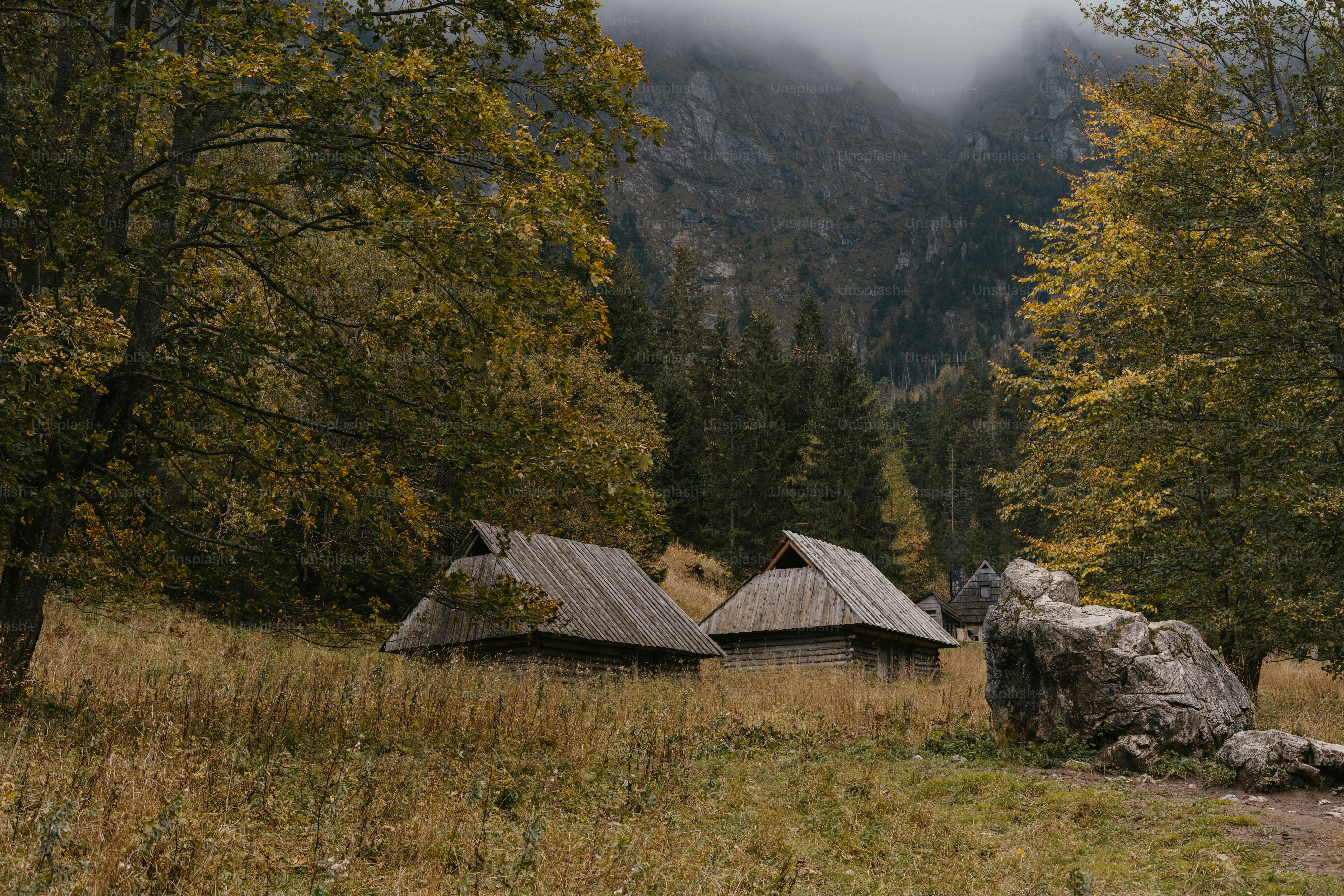 a cabin in the woods with mountains in the background