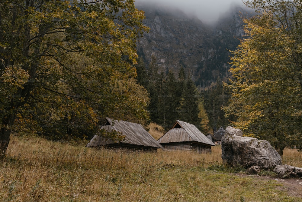 Una baita nel bosco con le montagne sullo sfondo