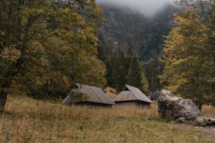 uma cabana na floresta com montanhas ao fundo