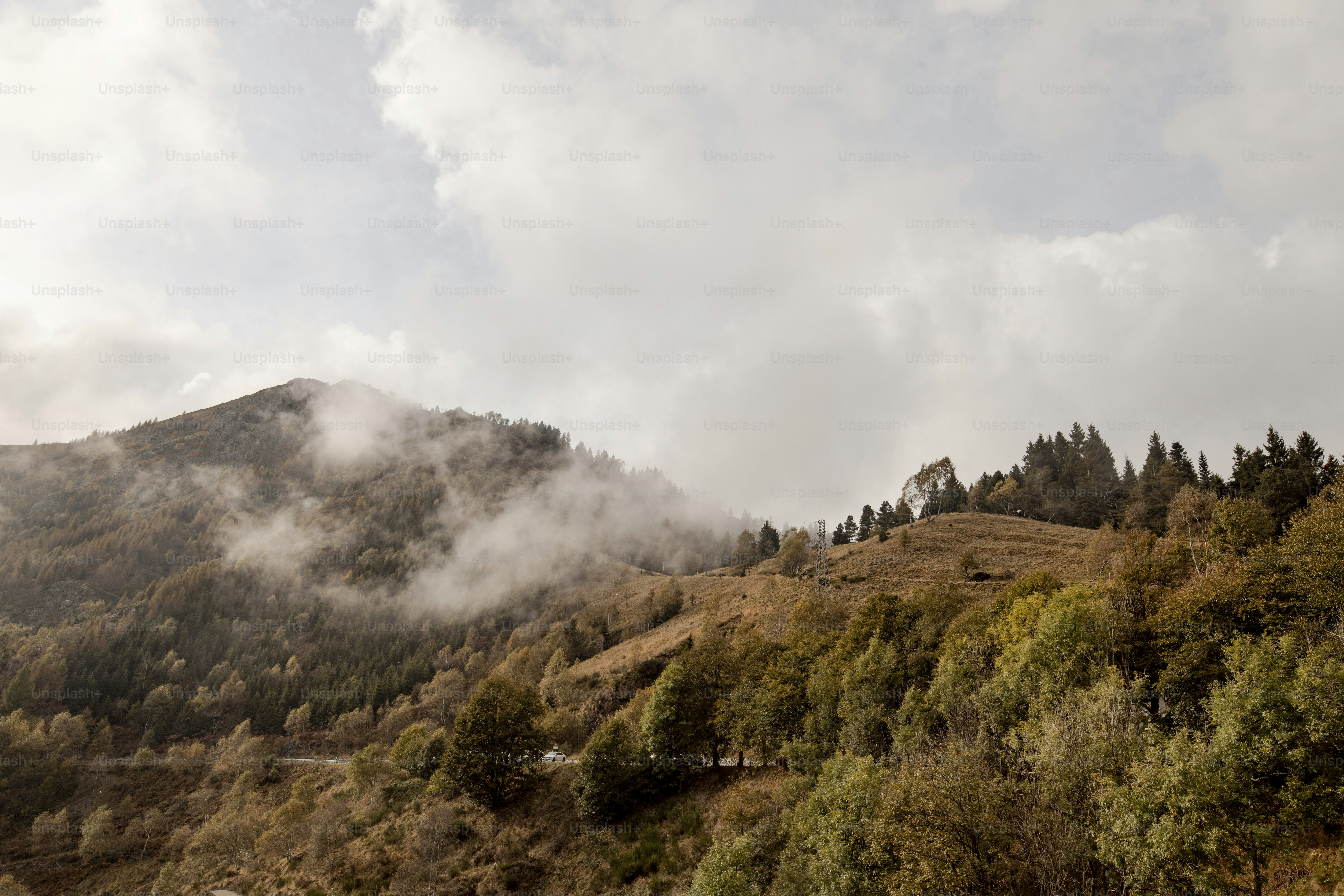 a mountain covered in clouds and trees on a cloudy day