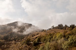 a mountain covered in clouds and trees on a cloudy day