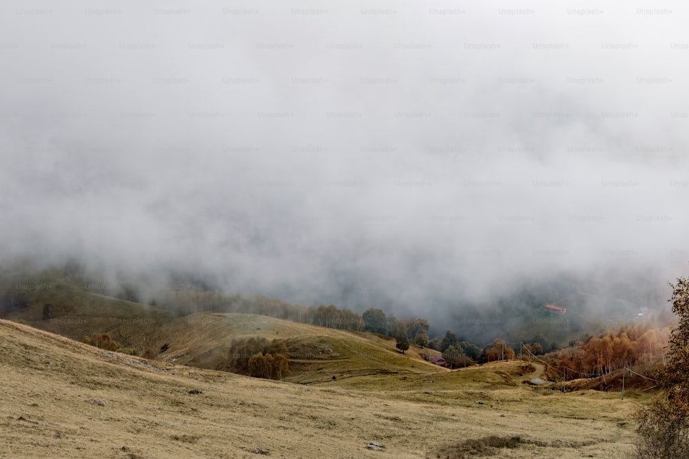 un paysage brumeux avec quelques arbres au premier plan
