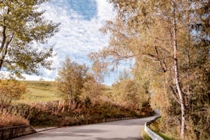 a paved road surrounded by trees and grass