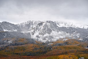 a mountain covered in snow and surrounded by trees