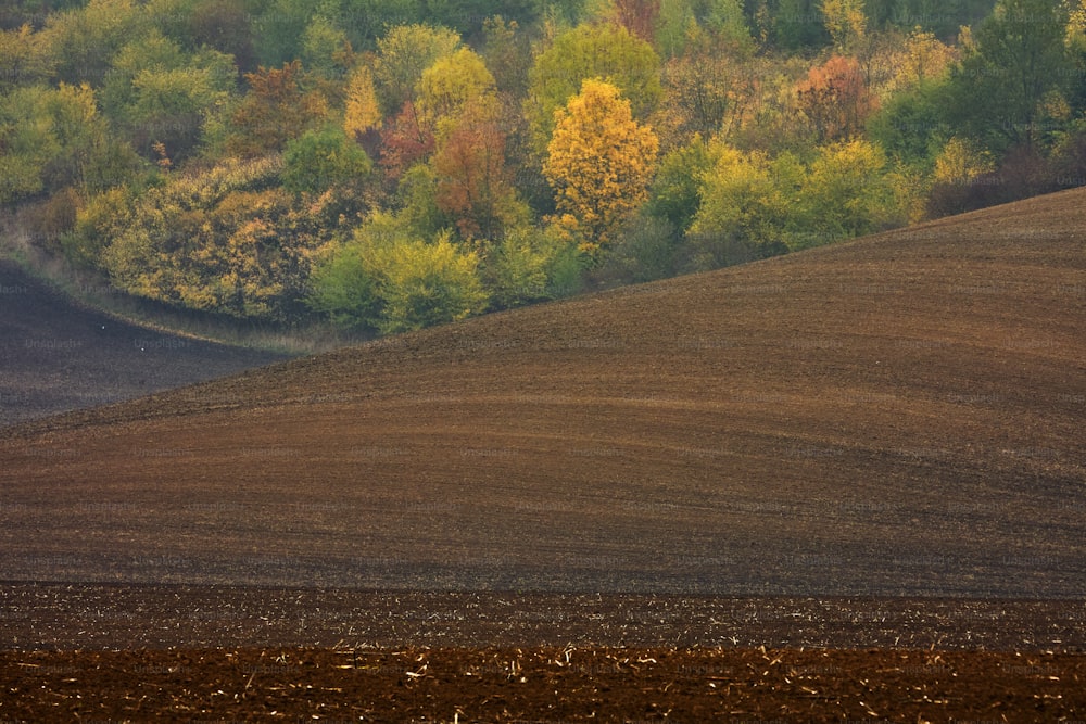 a plowed field with trees in the background