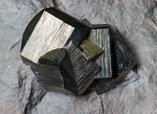 a close up of a piece of wood on a rock