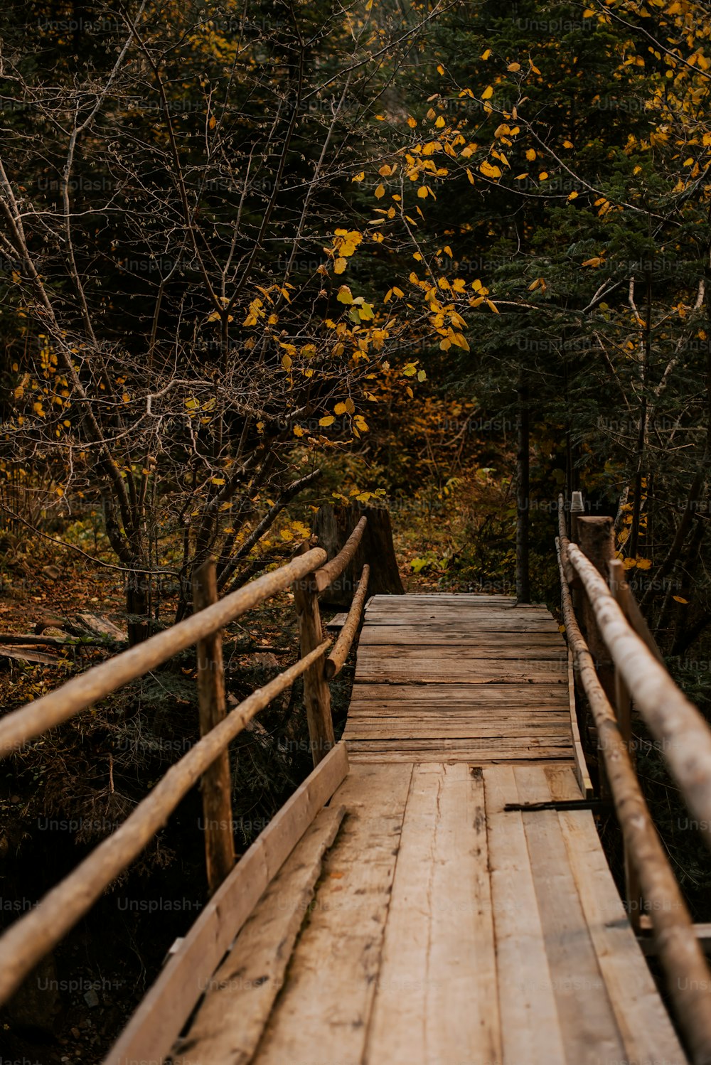 a wooden bridge in a wooded area with trees in the background