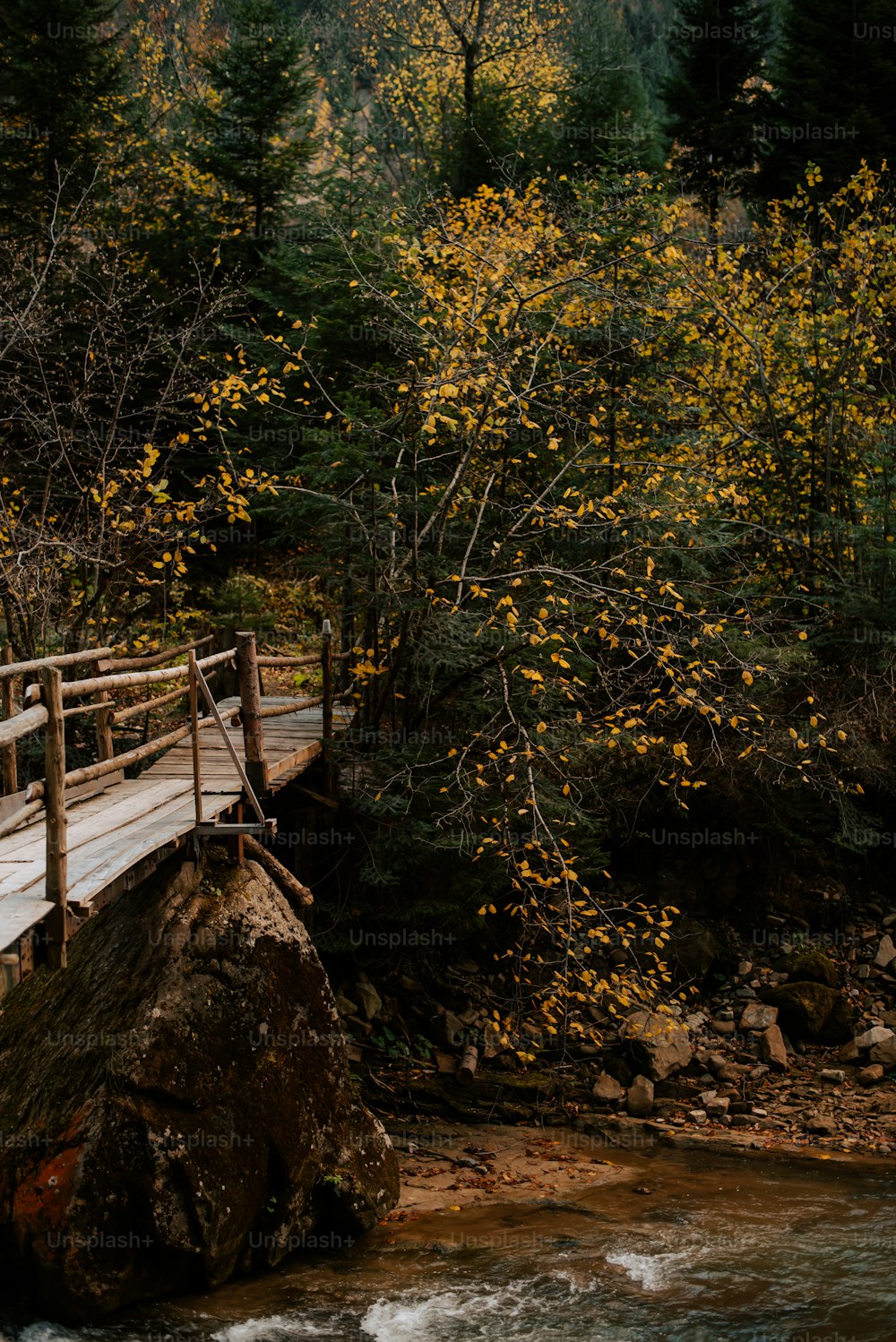 a wooden bridge over a stream in a forest