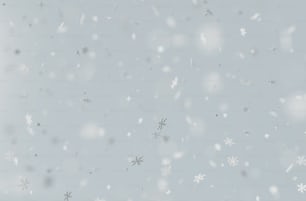 Los copos de nieve caen sobre un fondo gris