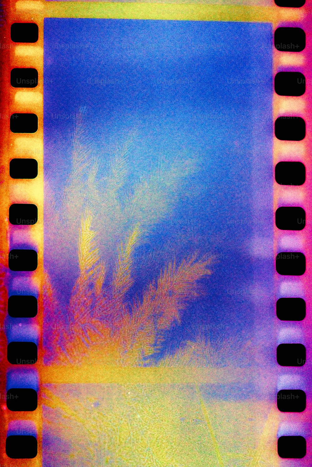 una tira de película con la imagen de una palmera