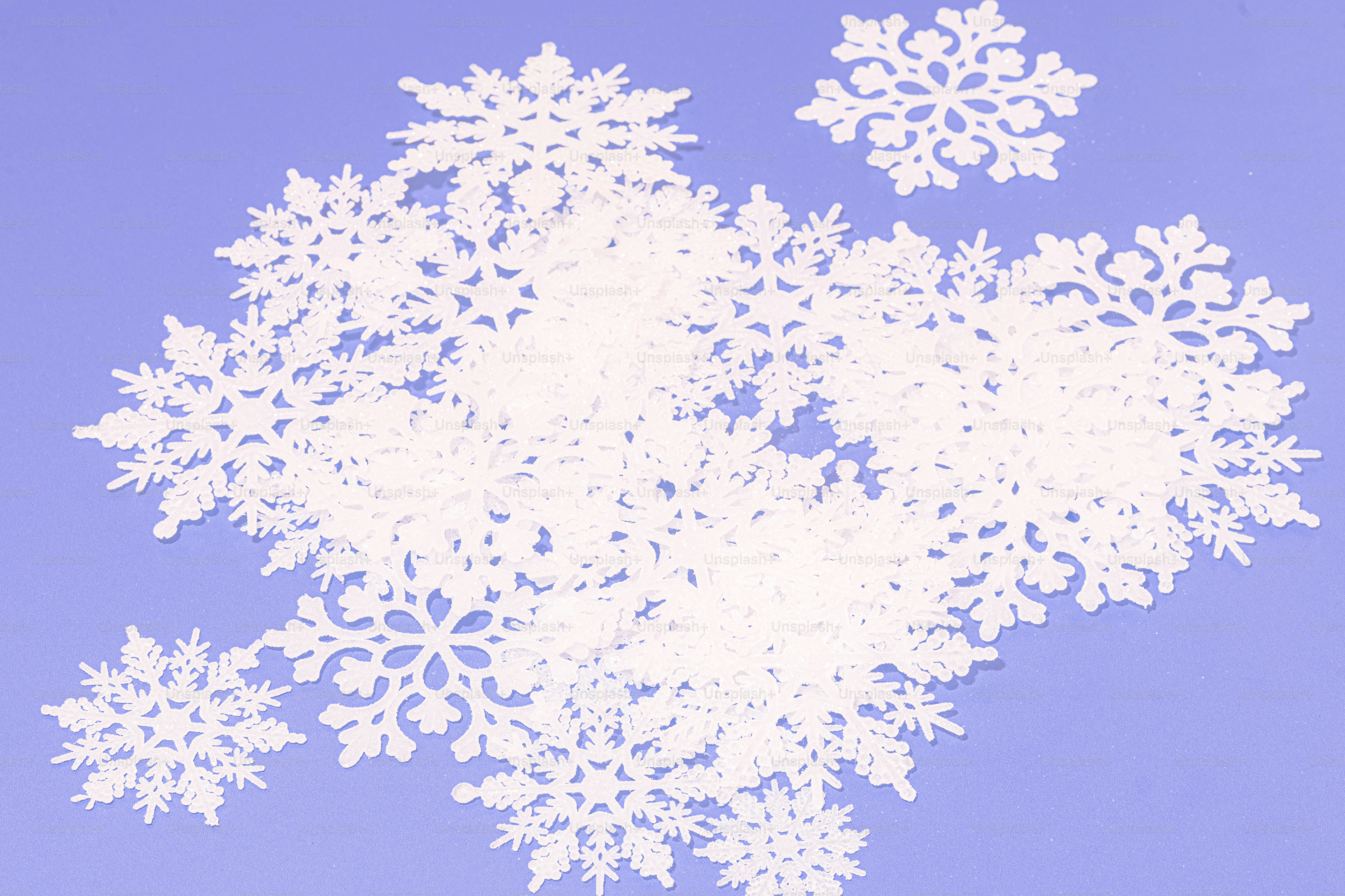 테이블 위에 앉아있는 눈송이