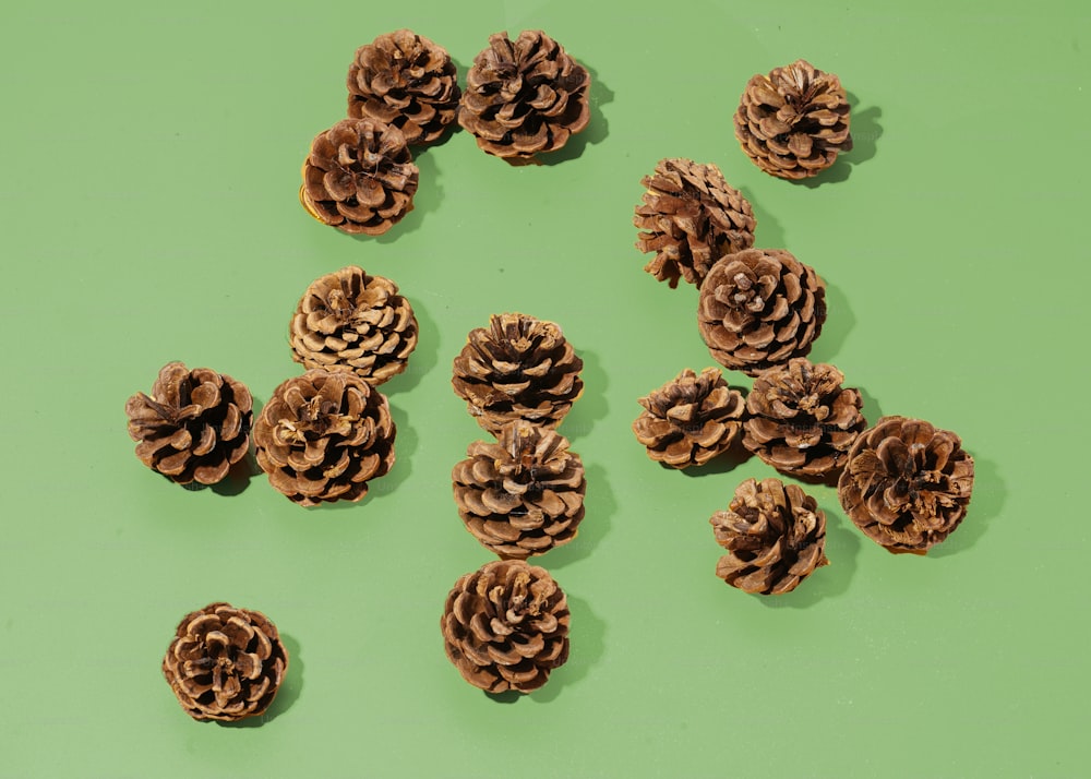 un groupe de pommes de pin posées sur une surface verte