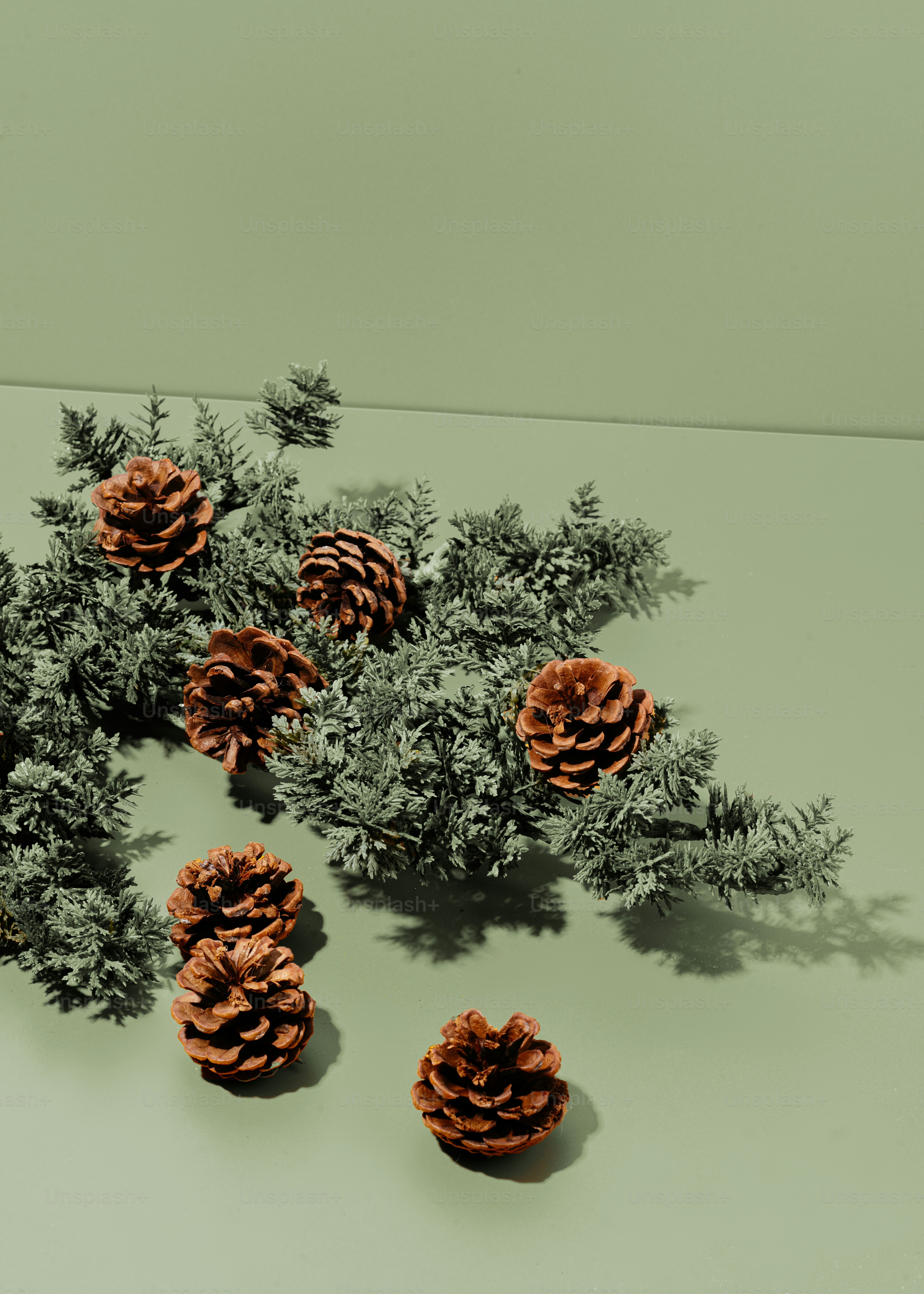 A group of pine cones sitting on top of a table photo – Pine cones ...