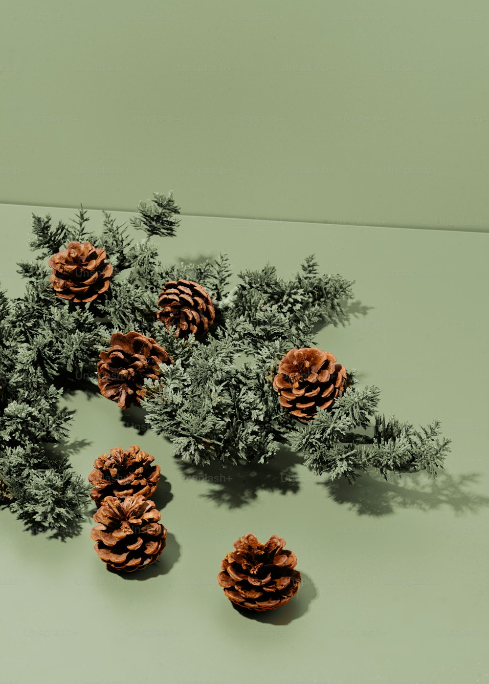 a group of pine cones sitting on top of a table