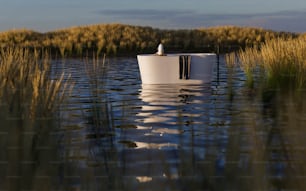 a boat floating on top of a lake surrounded by tall grass