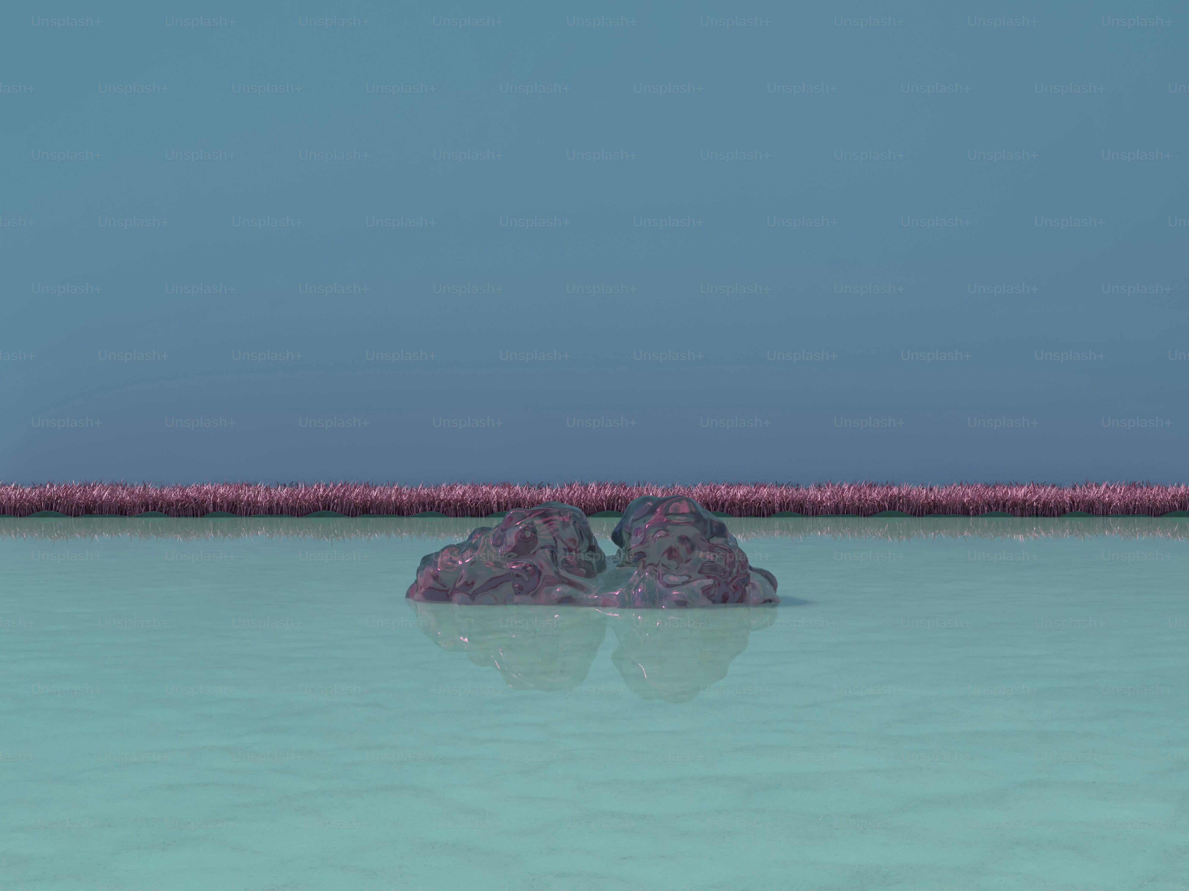 premium_photo-1699256413338-e1a1c3674036?ixid=M3wxMjA3fDB8MXxzZWFyY2h8OXx8JUQxJTgxJUQxJTgxJUQxJThCJUQwJUJCJUQwJUJBJUQwJUIwJTIwa3Jha2VuJTIwYXR8ZW58MHx8fHwxNzQ4NjUzNTMyfDA\u0026ixlib=rb-4.1.0