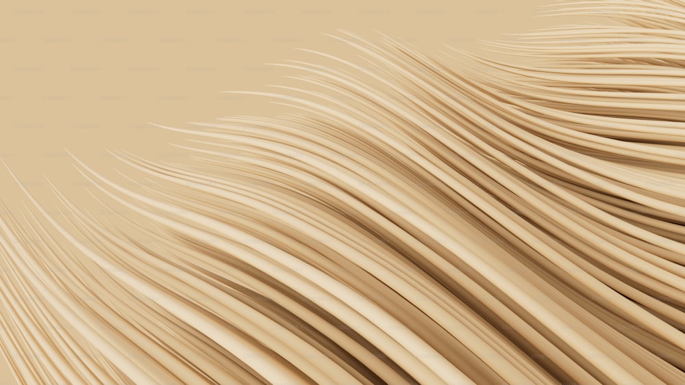 a close up view of a beige background