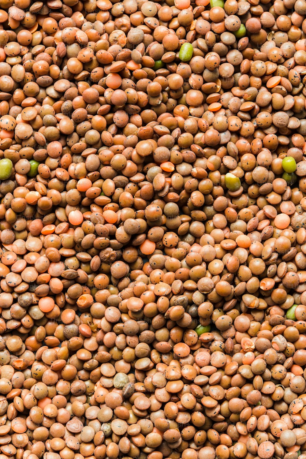 a large pile of beans is shown in this image