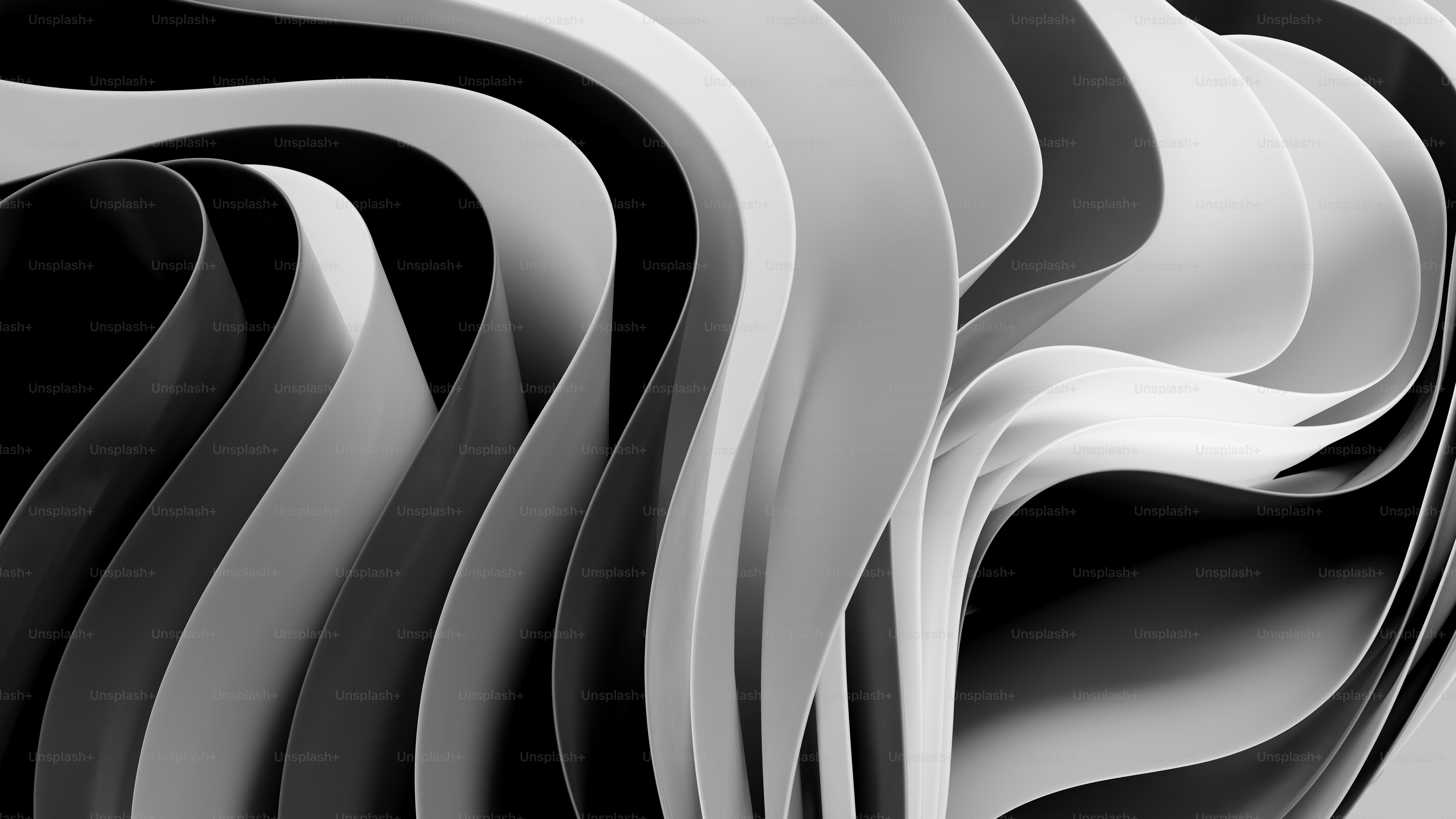 Photos Noir Et Blanc. La Galerie Photo De Nature Photographie