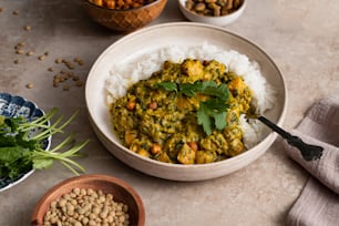 un plato de comida con arroz, frijoles y cilantro