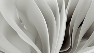 a black and white photo of a large flower