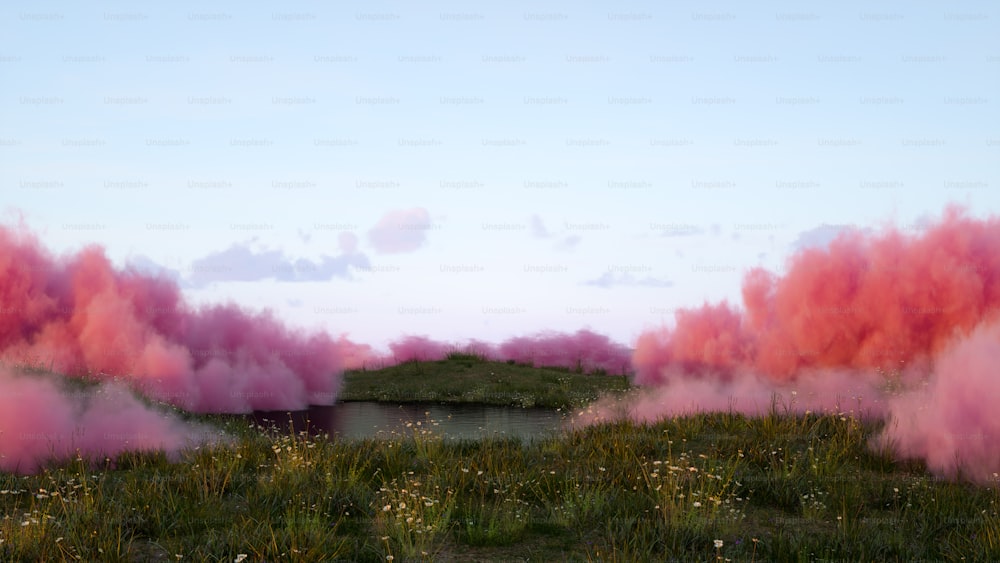 ピンク色の煙が立ち上る野原