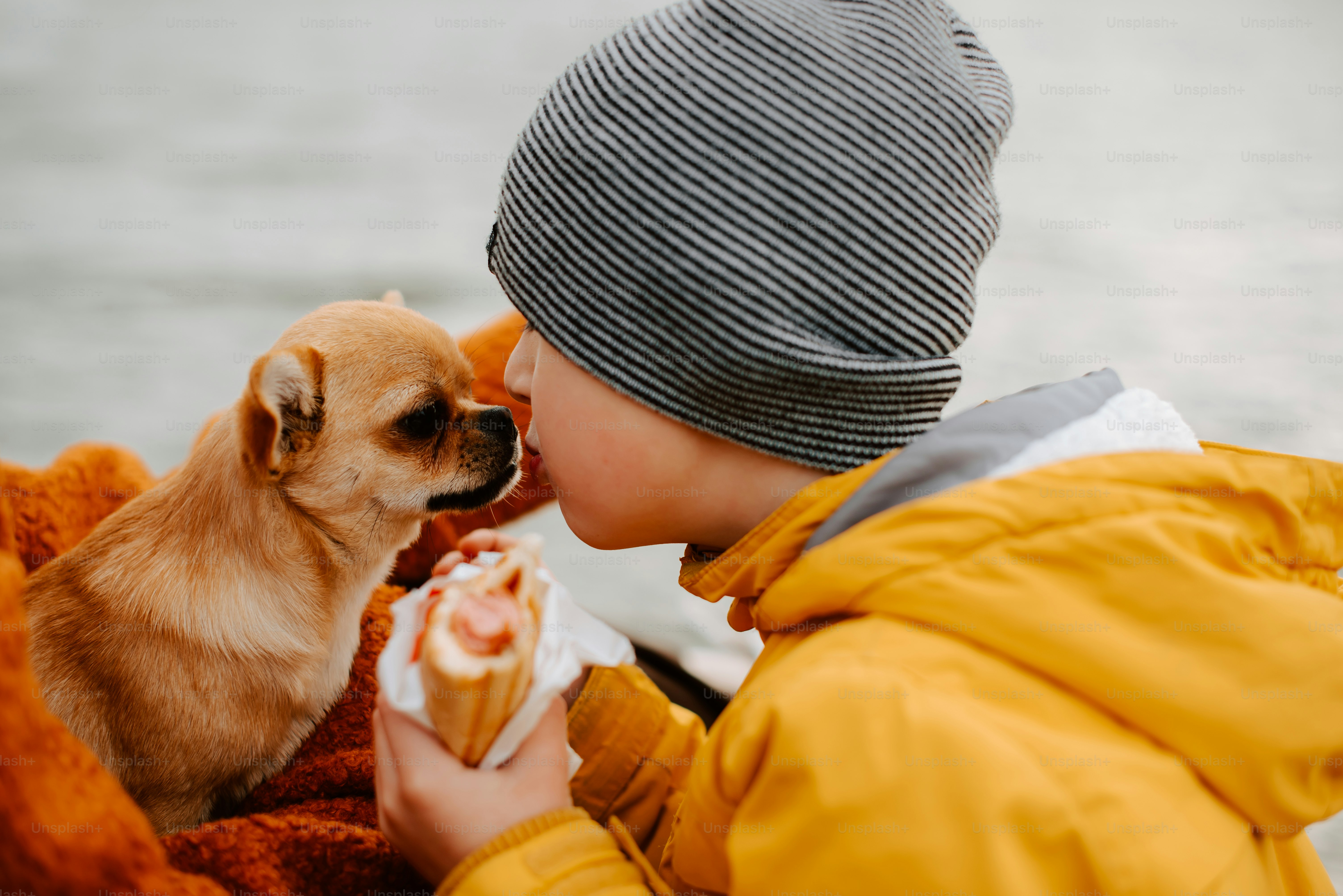 um menino está alimentando um cachorro um cachorro-quente