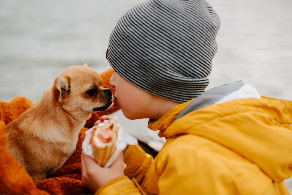 a little boy is feeding a dog a hot dog