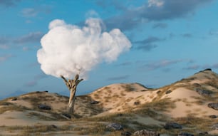 Un nuage de fumée s’élève d’un arbre dans le désert