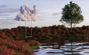 a swing hanging from a tree near a body of water