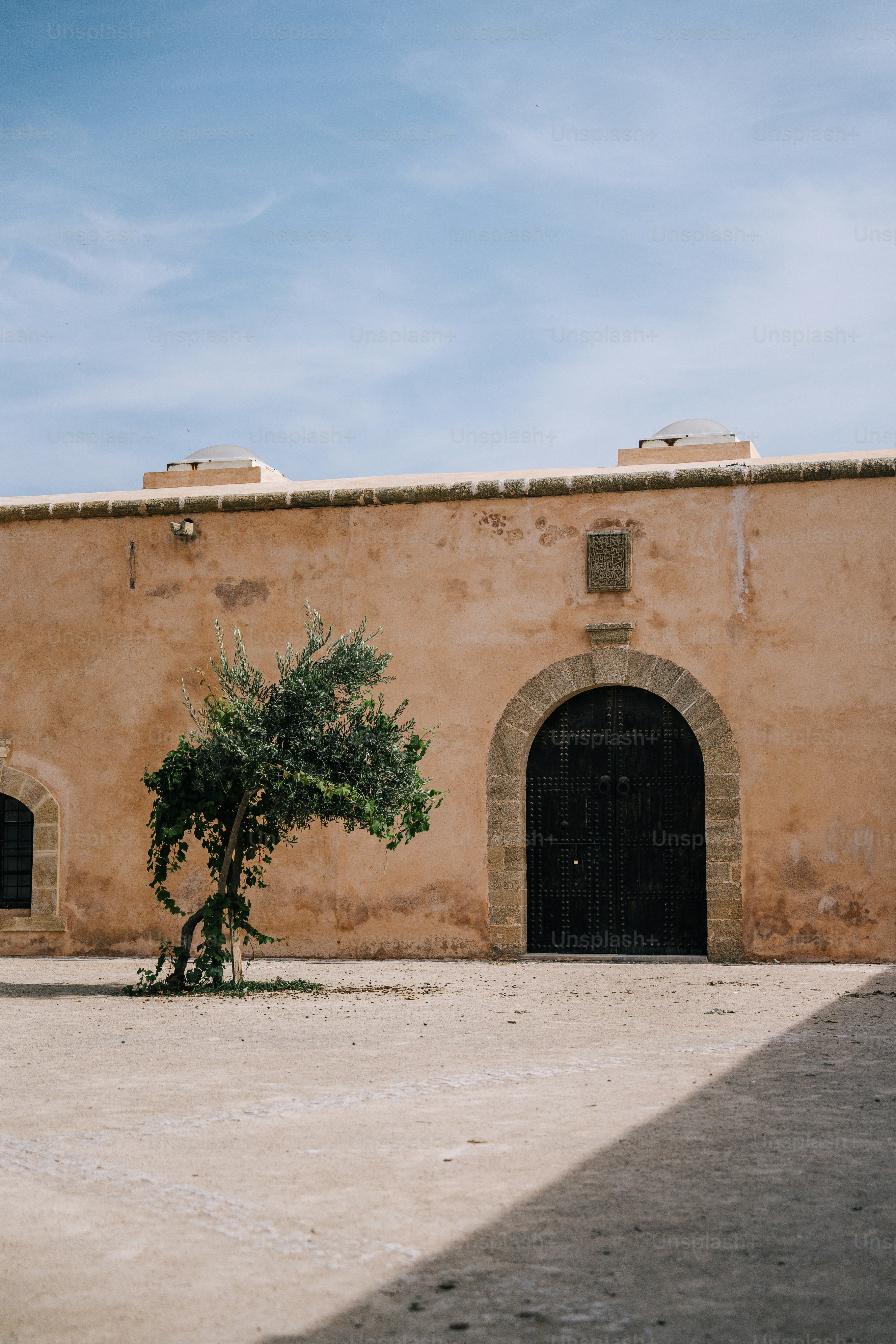 Un pequeño árbol frente a un edificio