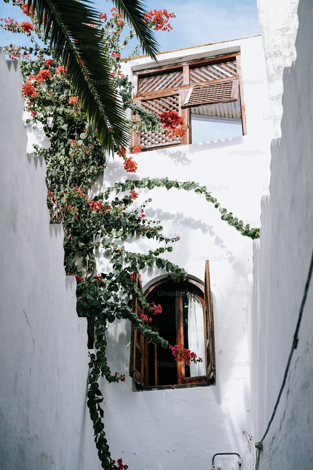 a white building with a window and a palm tree