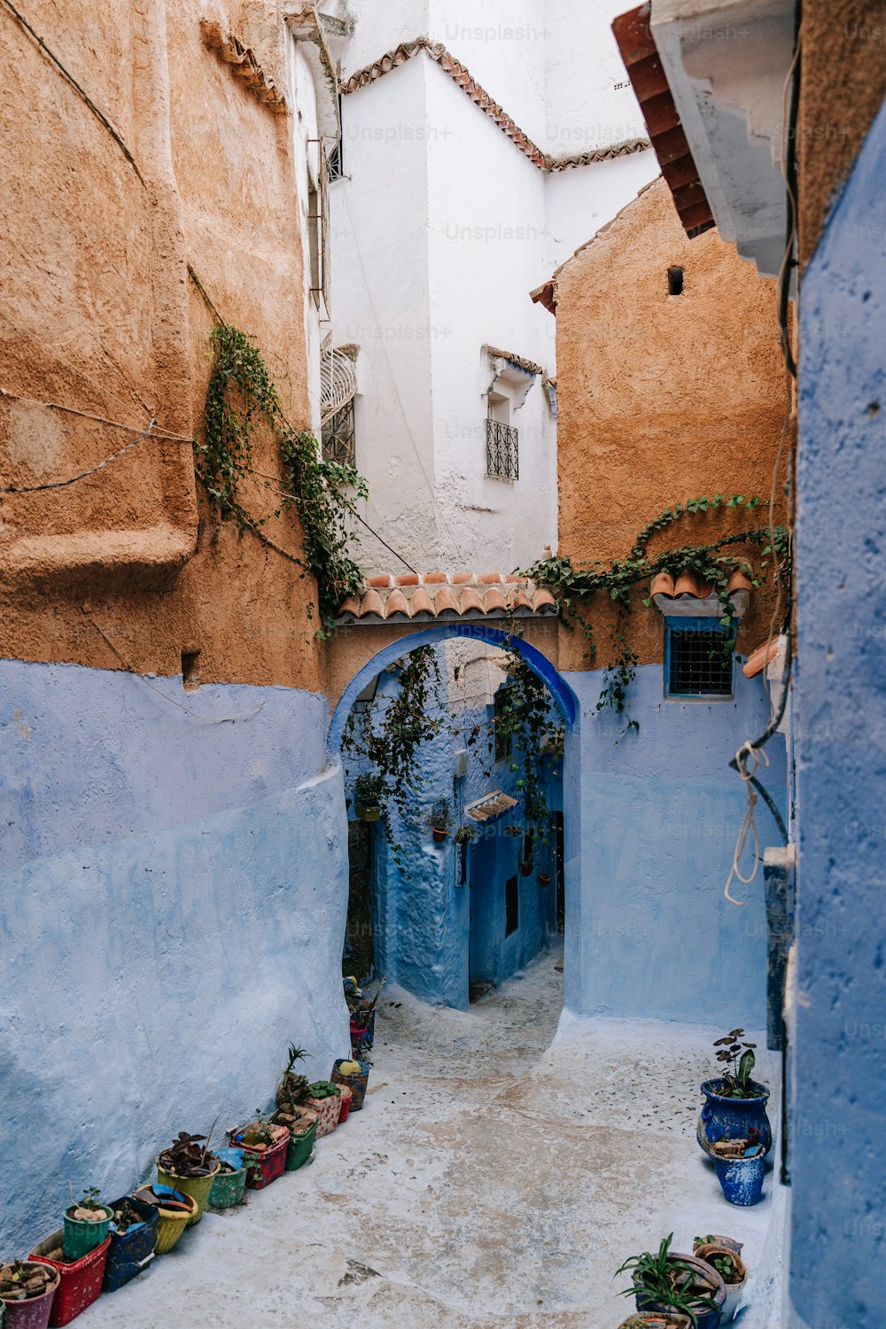 a narrow alleyway with blue walls and potted plants