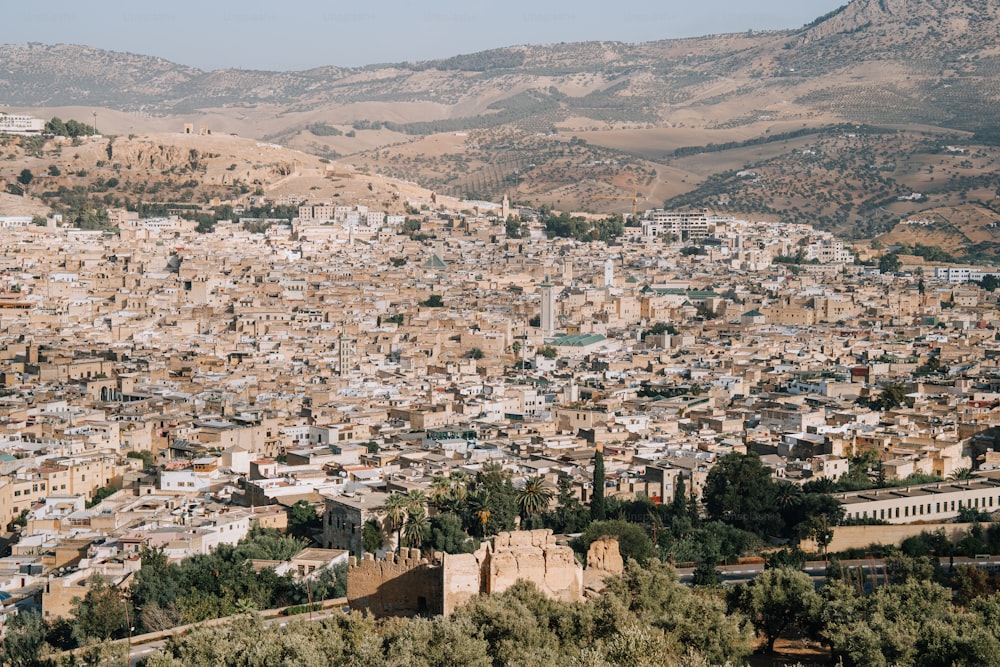 a view of a city with mountains in the background