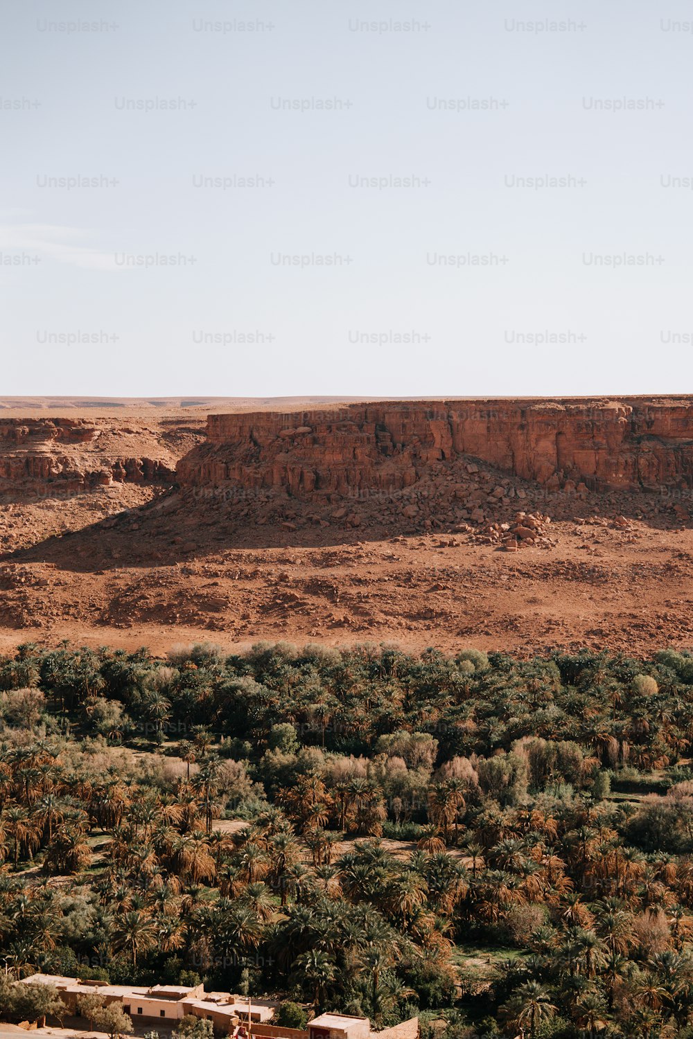 Una vista panoramica di un deserto con una montagna sullo sfondo