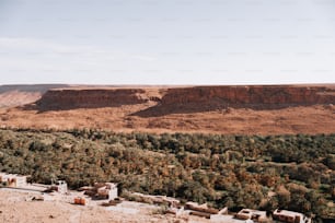 Una vista panoramica di un deserto con alberi in primo piano