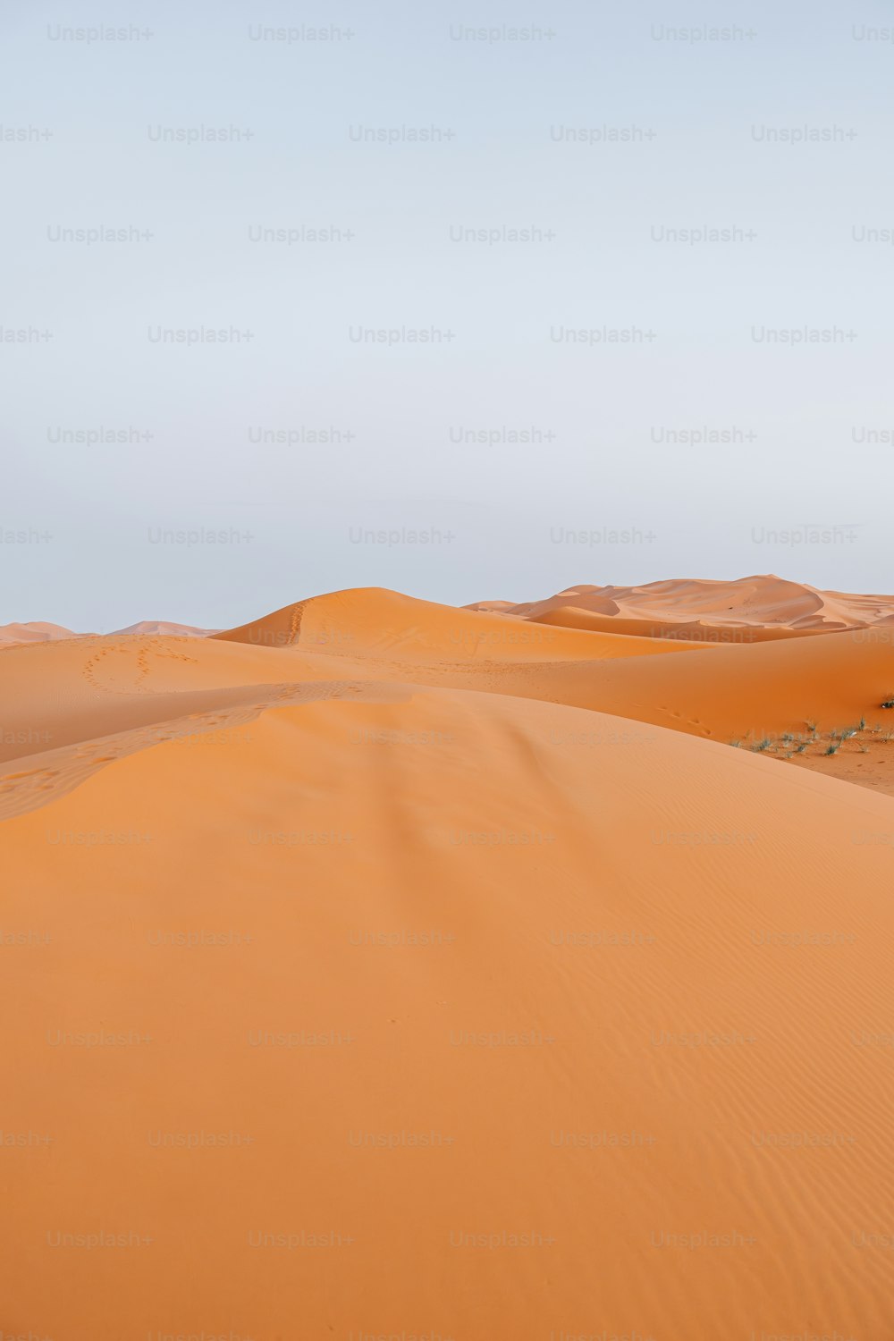 사막에서 말을 타고 있는 사람