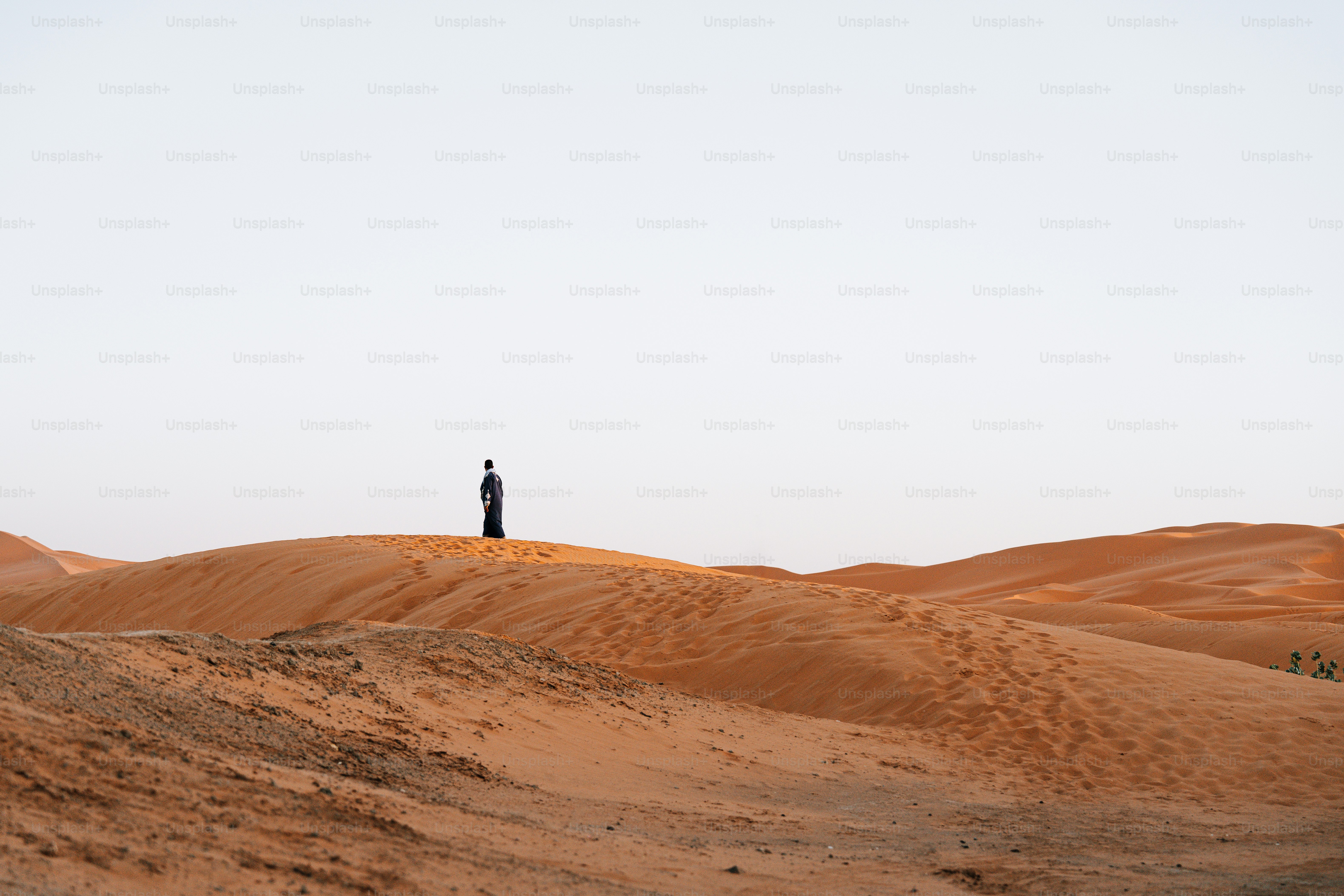a person standing in the middle of a desert
