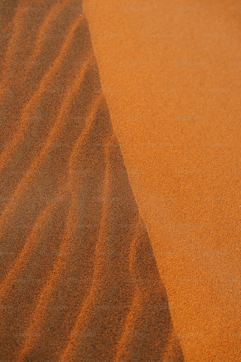 Eine Wüstenszene mit einer Sanddüne in der Ferne