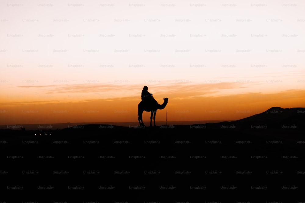 una persona che cavalca un cammello nel deserto al tramonto