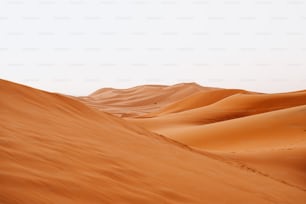 a person walking across a desert with sand dunes in the background