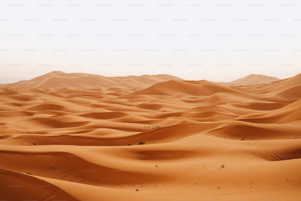 사막에 있는 큰 모래 언덕 그룹