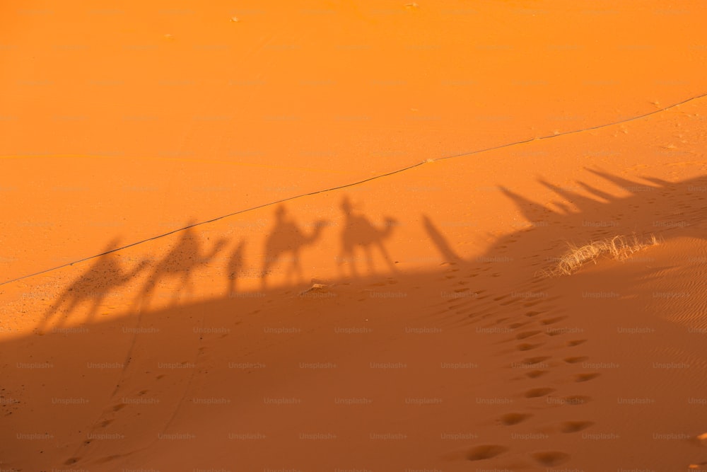 a group of people riding camels across a desert