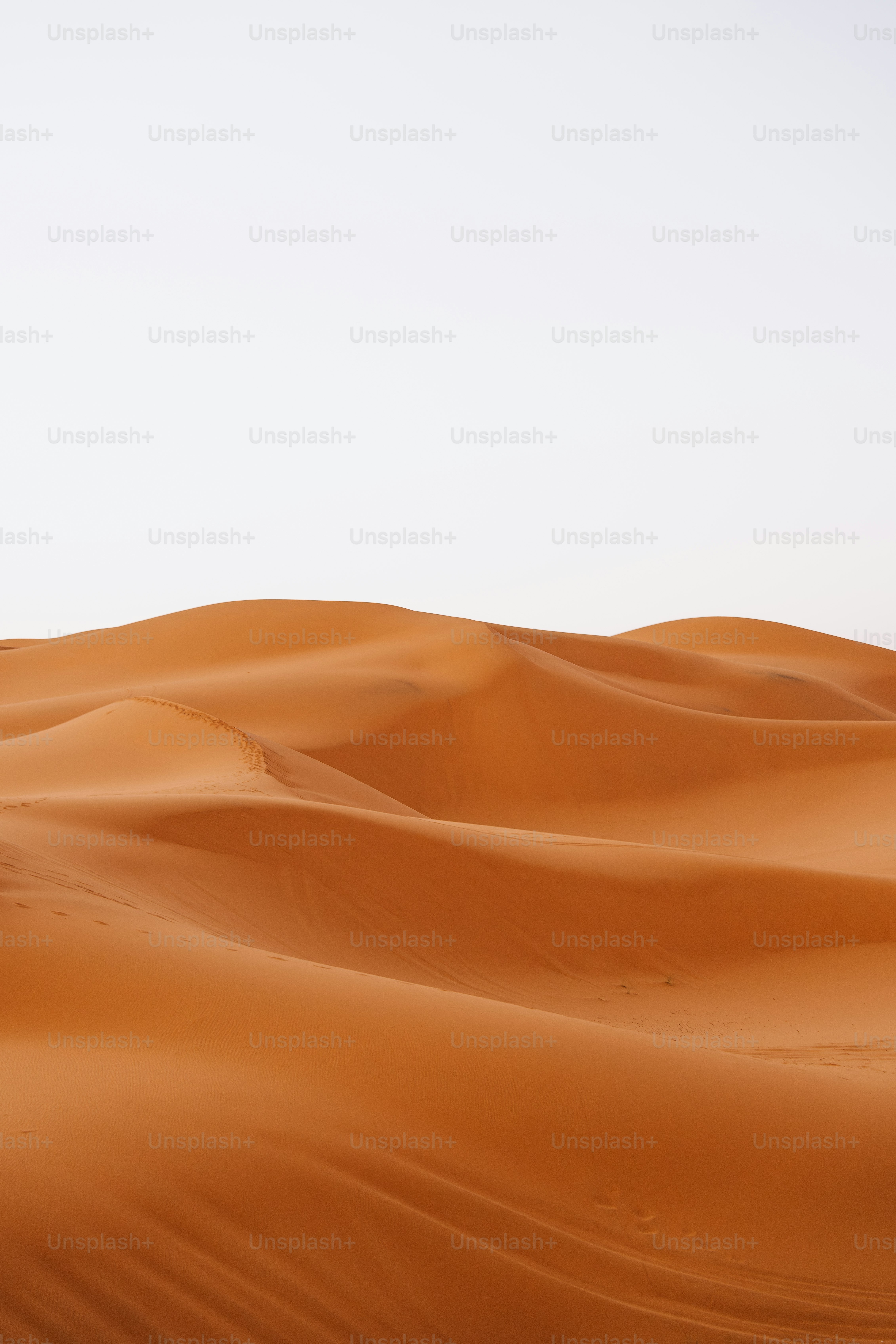 Choose from a curated selection of desert photos. Always free on Unsplash.