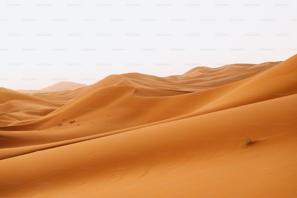 Eine Gruppe von Sanddünen in der Wüste