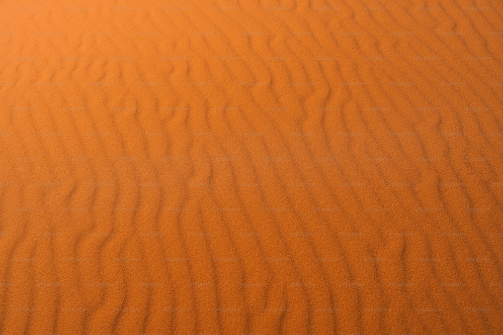 사막 한가운데에 있는 오렌지 모래 언덕